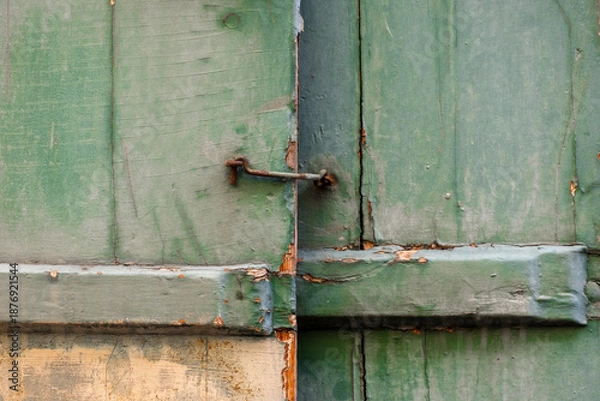 Obraz Grüne Holztür