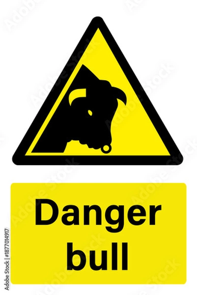 Obraz Danger bull