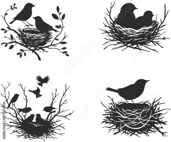 Obraz birds on a branch