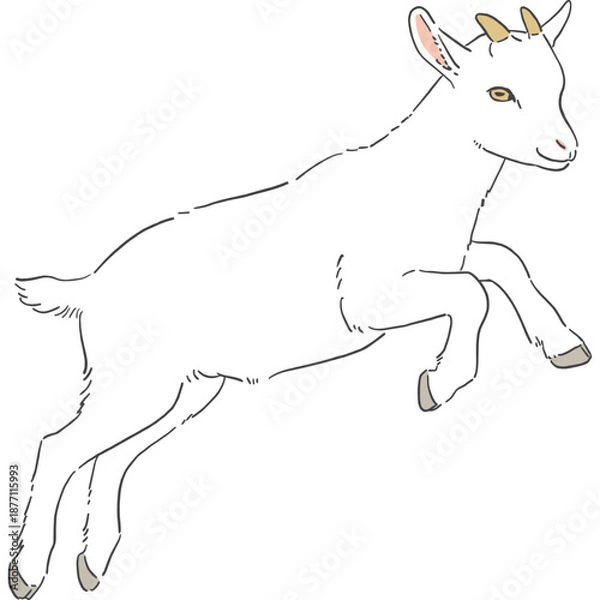 Fototapeta かわいい白いヤギの手書きイラスト