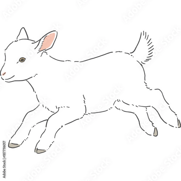 Fototapeta かわいい白いヤギの手書きイラスト