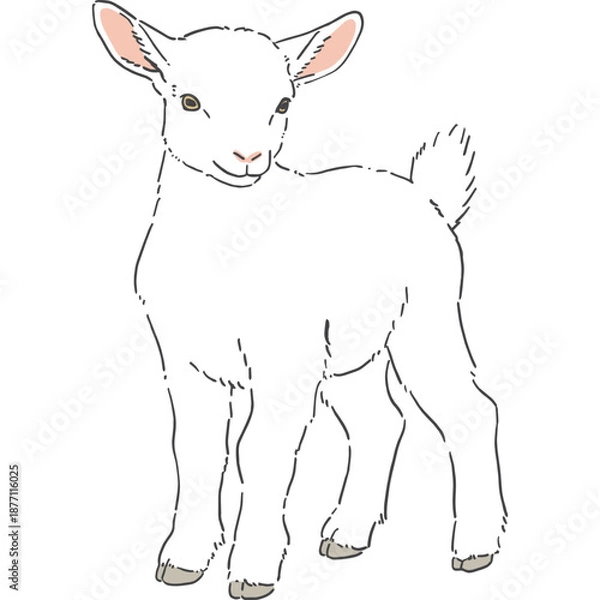 Fototapeta かわいい白いヤギの手書きイラスト