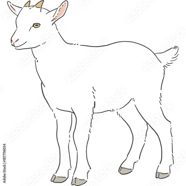 Fototapeta かわいい白いヤギの手書きイラスト