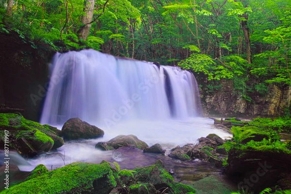 Obraz 青森県十和田市、新緑の奥入瀬渓谷の銚子大滝
