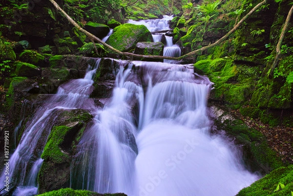 Obraz 青森県十和田市、新緑の奥入瀬渓谷の寒沢の流れ
