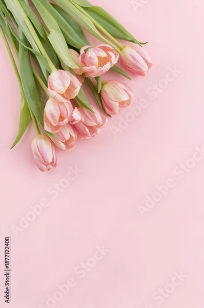 Obraz 春の記念日やお祝いに合うチューリップ花束の縦型フラットレイ ピンクの柔らかい背景. 生成AI