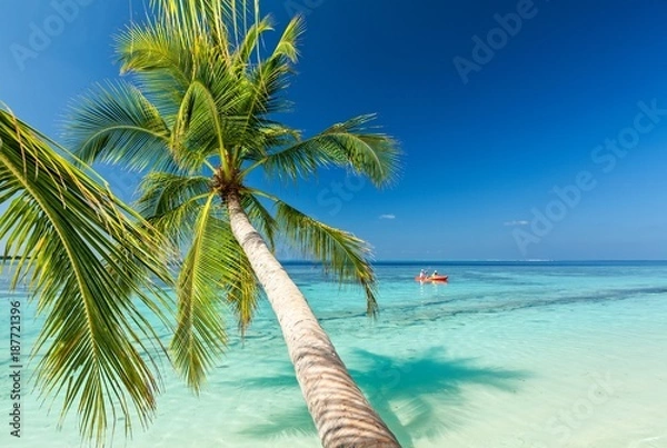 Obraz Tropical beach