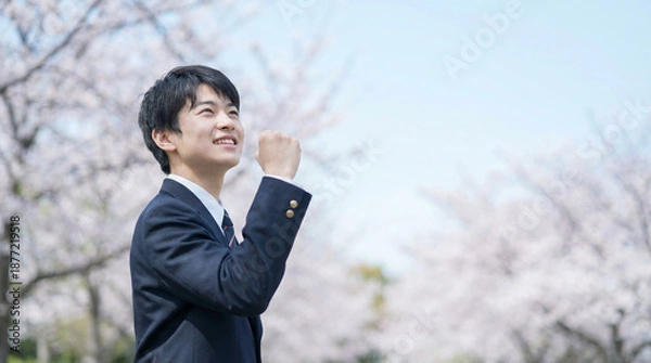 Fototapeta 満開の桜を背景に拳を握って喜ぶ日本人男子高生
