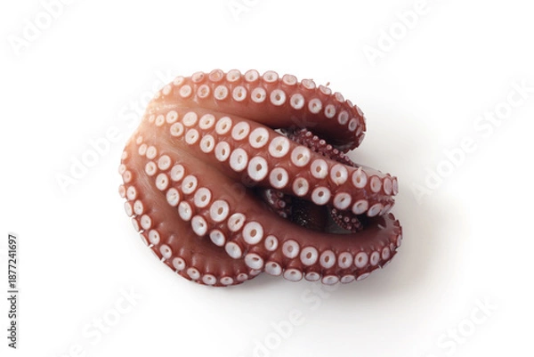 Obraz 白背景のゆでたこ