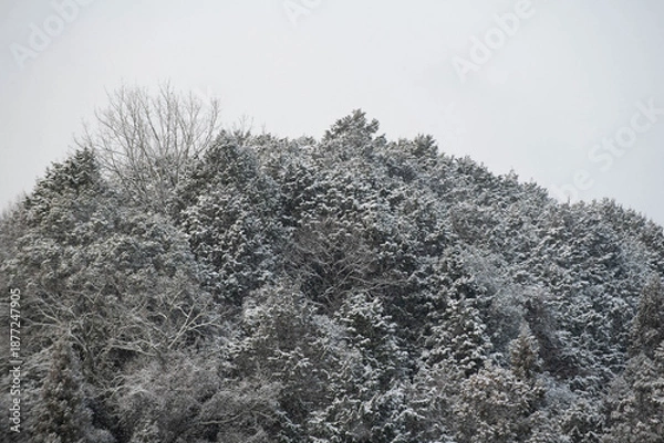 Fototapeta 山間部の雪景色