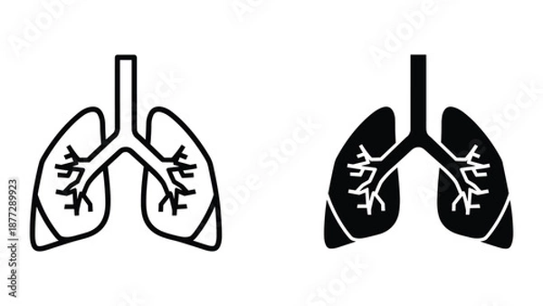 Obraz Human lungs anatomy illustration