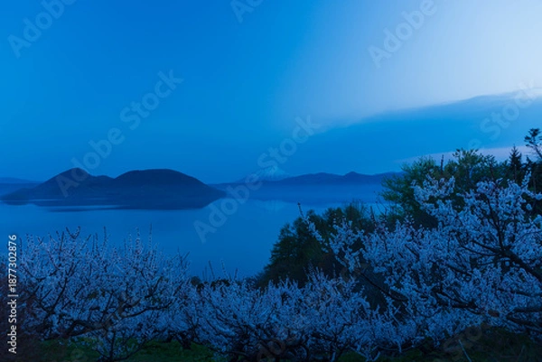 Obraz 北海道壮瞥町2025春-早朝の壮瞥公園-16