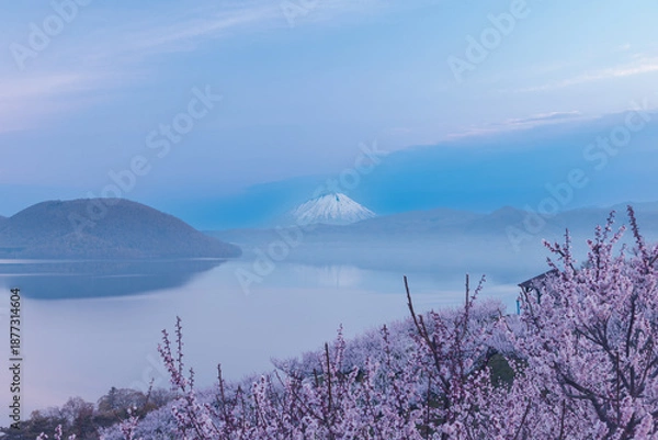 Obraz 北海道壮瞥町2025春-早朝の壮瞥公園-19