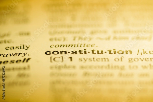 Obraz constitution word dict