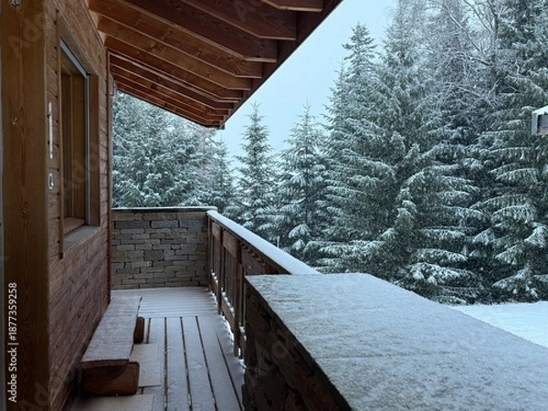 Obraz Balcon sur la forêt