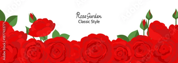 Fototapeta 白地に真っ赤なバラがボーダー状に並んだ背景イラスト