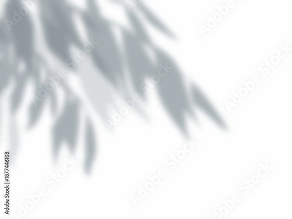 Obraz 木の枝と葉の影が壁に映る背景素材