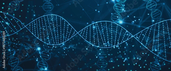 Obraz Futuristic molecules structure DNA strands, connected neural web