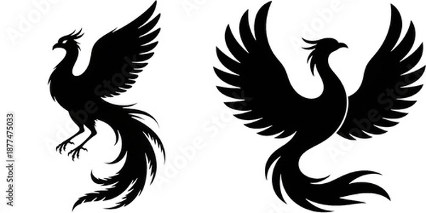 Obraz フェニックス　不死鳥　鳳凰　鳥　イラスト　シルエット