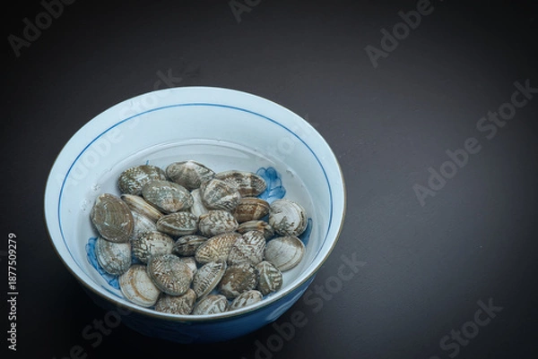 Obraz 器の中に塩水と一緒に入れられた、砂抜き中のあさり