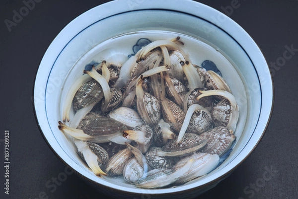 Obraz 器の中に塩水と一緒に入れられた、砂抜き中のあさり