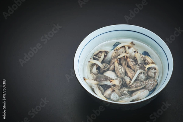 Obraz 器の中に塩水と一緒に入れられた、砂抜き中のあさり