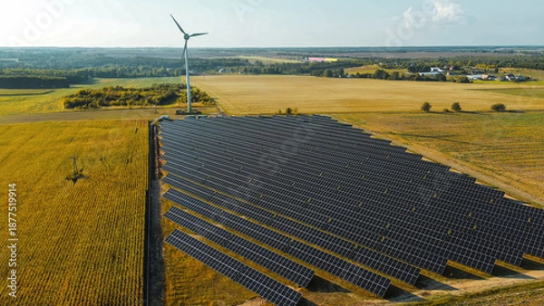 Obraz Generating clean electricity in open fields