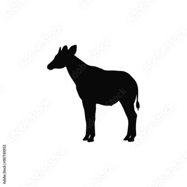 Fototapeta Okapi silhouette icon vector flat design.