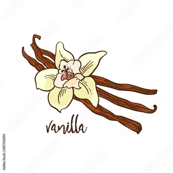 Fototapeta The Vanilla - flower and spicy
