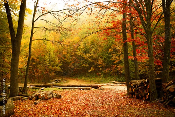 Obraz Nature versus man