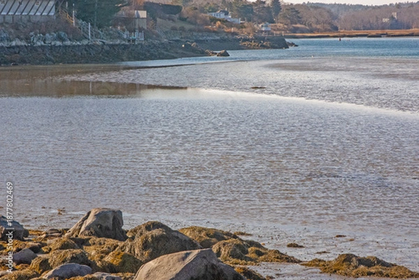 Obraz the river in the winter
