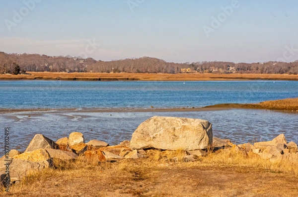 Obraz Rocks and river at low tide