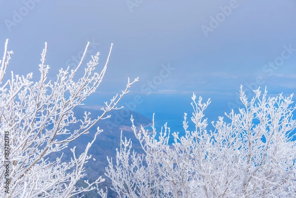 Obraz 冬の山頂に広がる美しい樹氷と遠望の海景