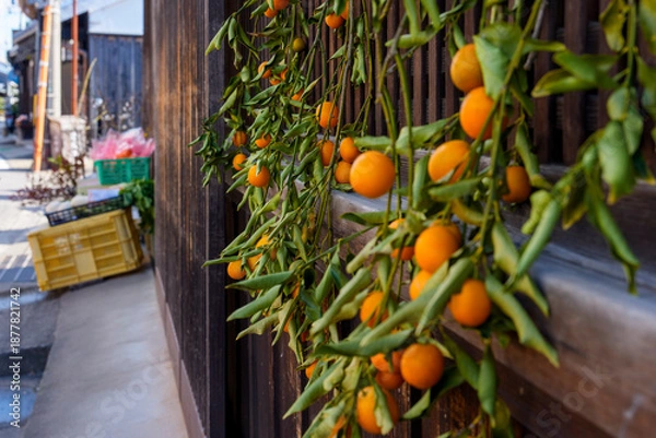 Obraz 民家の軒先に吊るされた金柑と路地の風景