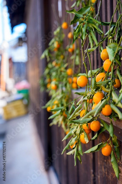 Obraz 縁側に吊るされた収穫直後の金柑