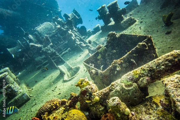 Fototapeta Shipwreck underwater at the depth in Caribbean.