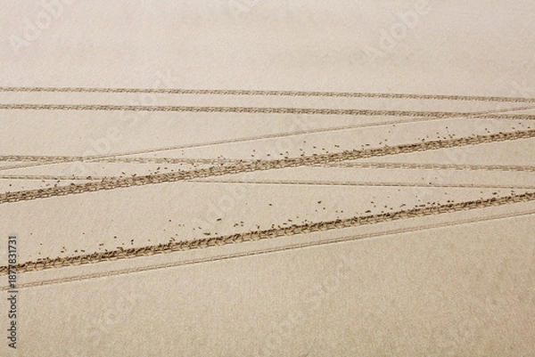 Fototapeta Radspuren im Sand
