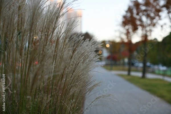 Obraz 늦가을의 정취