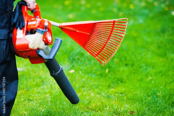 Obraz Leaf blower and rake 
