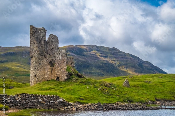 Fototapeta Ardvreck Castle, a ruined 16th century castle standing on a rocky promontory jutting out into Loch Assynt in Sutherland in the far north west of the Scottish Highlands.