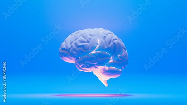 Obraz Brain model floating on blue background with light effects
