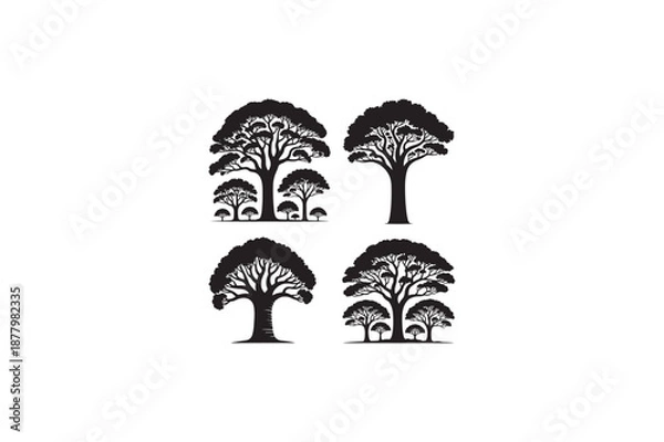 Obraz Nature Kauri tree vector silhouettes black image. 