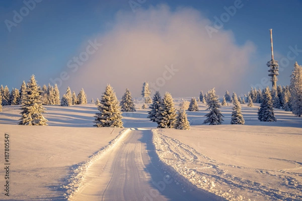 Fototapeta Early morning snow covered black forest warmed up by the sun rays. The sky is opening up and the fir trees are covered with snow after the storm the day before. Looking at the "Feldberg" tower