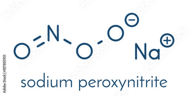 Fototapeta Peroxynitrite (sodium) reactive nitrogen species molecule. Formed by the reaction of the free radicals nitric oxide and superoxide in the human body. Skeletal formula.