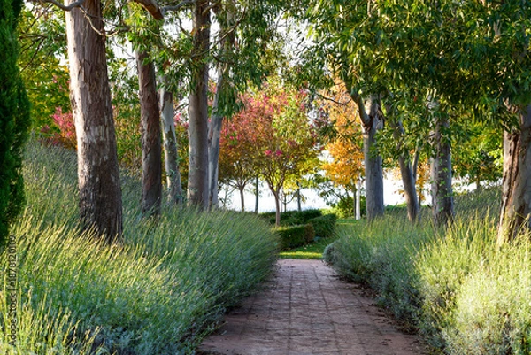 Obraz El sendero de los sentidos