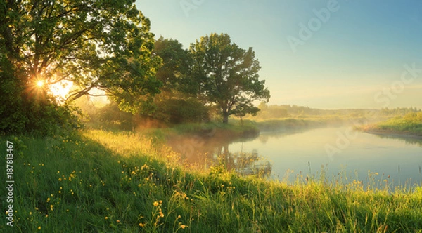 Obraz Słoneczny poranek wiosny