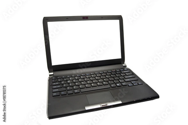 Obraz Laptop isolated