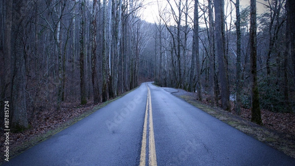 Obraz Depressing Colorless Street Photography in the Woods