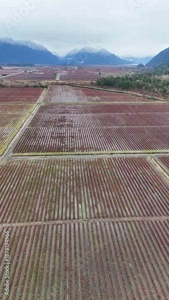 Fototapeta British Columbia Fields