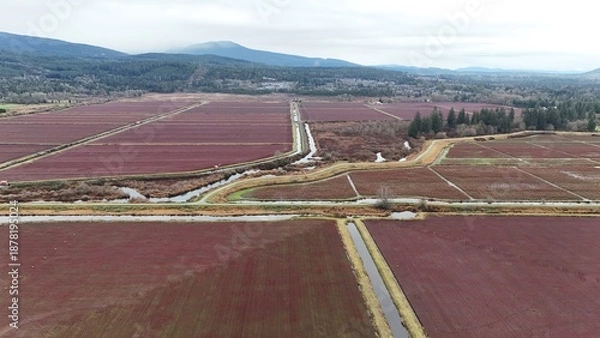 Fototapeta British Columbia Fields
